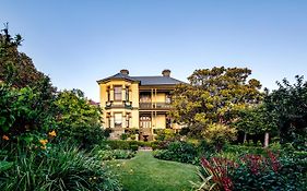 The Corinda Collection